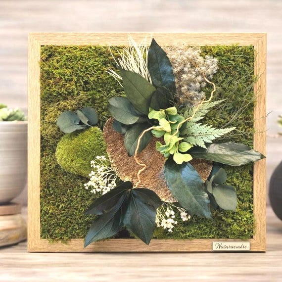 Cadre végétal stabilisé mural– Tableau végétal en mousse, eucalyptus et gypsophile – Décoration murale végétale naturelle
