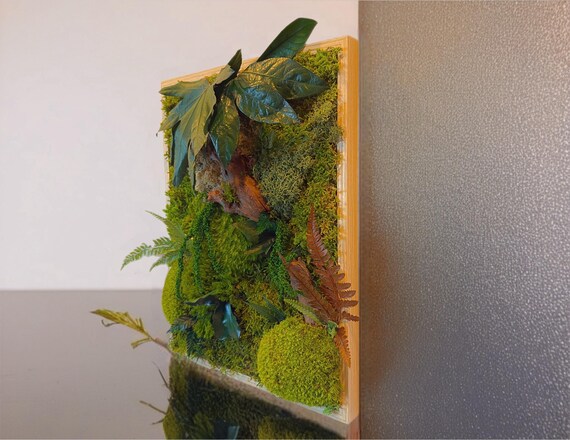 Cadre végétal en mousse stabilisée – Décoration murale naturelle artisanale – Tableau design verdure- Art mural vegetal