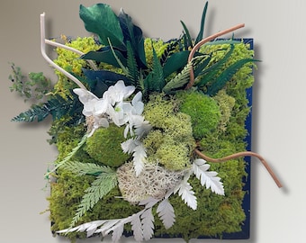 Cadre végétal stabilisé – Décoration murale naturelle en mousse & feuillages – Art végétal fait main – Idée cadeau unique