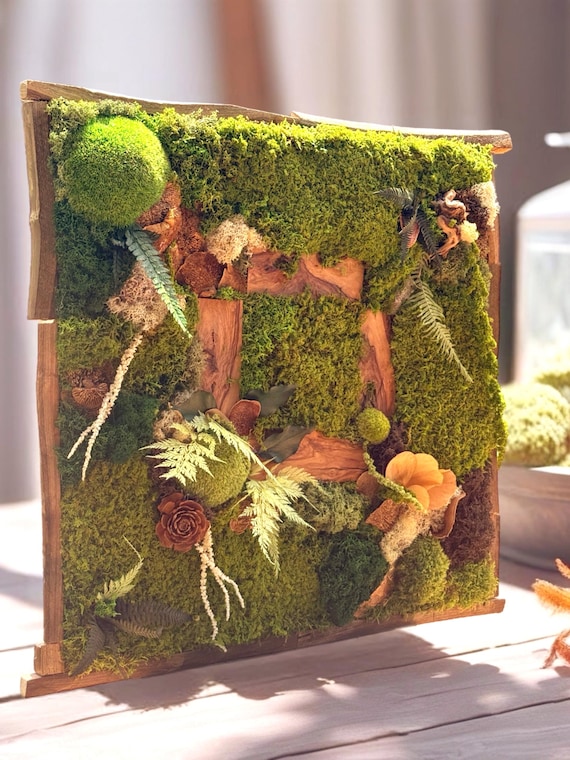 Cadre végétal stabilisé artisanal – Tableau végétal forêt enchantée – Décoration murale nature luxe en bois brut