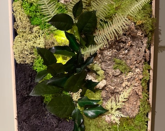 Cadre végétal stabilisé forêt naturelle – mousse, écorce et feuillage vert profond – Déco d'intérieur murale zen et naturelle