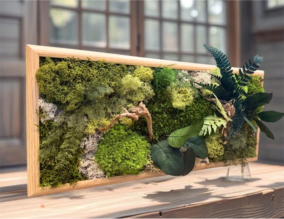 Cadre végétal stabilisé 50x25 cm – Mousse naturelle et feuillages verts | Déco murale zen à poser ou suspendre – Naturencadre