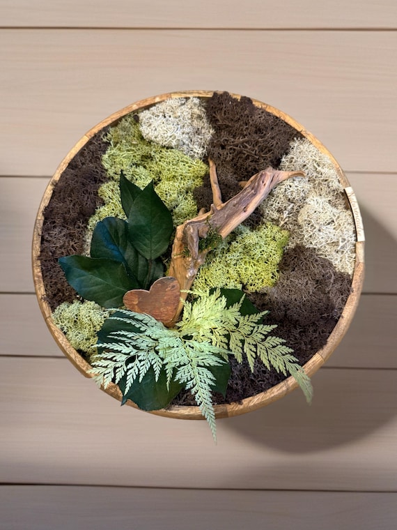 Cadre végétal rond– Mousse stabilisée et bois de manguier – Décoration murale naturelle sans entretien