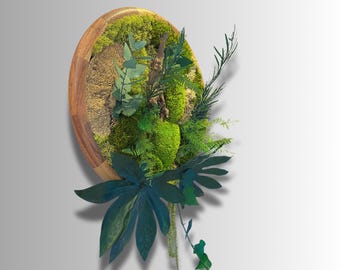 Cadre végétal rond en mousse et feuillage stabilisé en bois – Décoration murale naturelle  – Art floral fait main