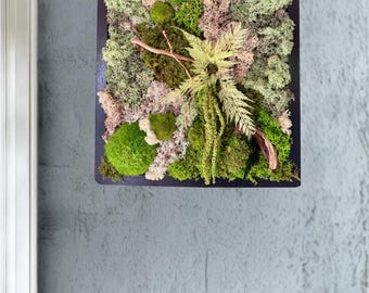 Cadre végétal forêt enchantée – Mousse stabilisée & feuillage naturel encadré carré bois noir – Déco d'intérieur murale zen et naturelle
