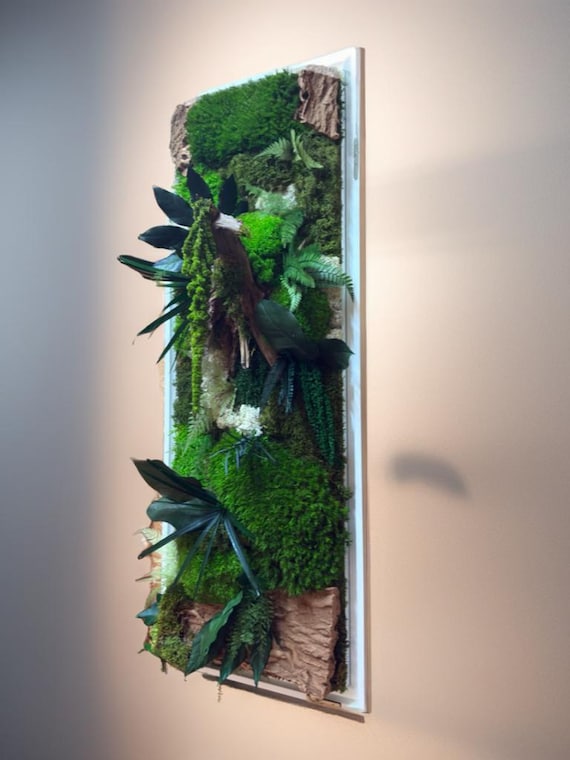 Tableau végétal mural grand format– Mousse stabilisée et bois naturel – Cadre design blanc sans entretien – Décoration murale artisanale