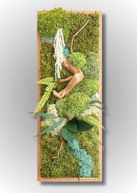 Cadre végétal stabilisé 50x25 cm – Art mural nature bois flotté – Décoration murale zen et chic – Tableau végétal sans entretien