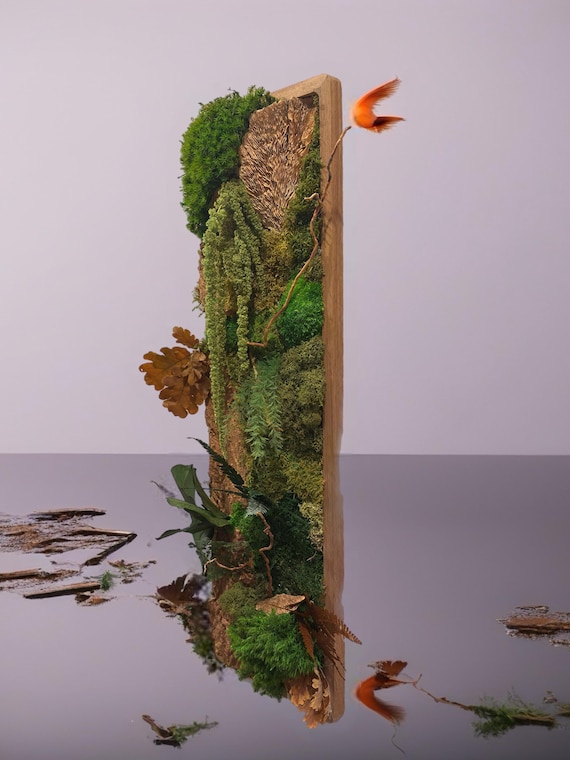 Cadre végétal stabilisé vertical 75×23 – mousse, écorce & feuillages naturels | Décoration murale nature artisanale – Naturencadre