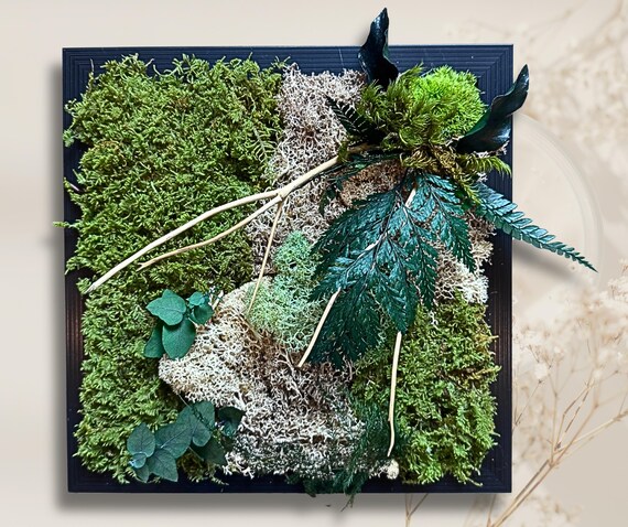 Cadre végétal stabilisé en mousse et feuillage – décoration murale naturelle avec bois flotté – tableau végétal artisanal sans entretien