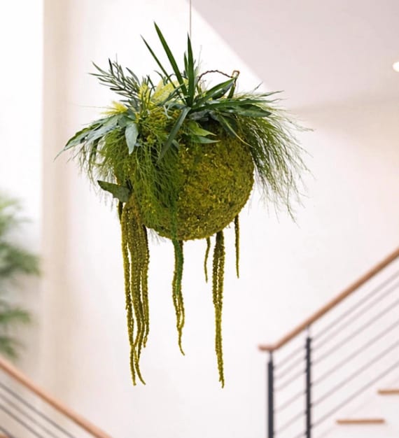 Kokedama végétal suspendu grand format – Boule végétale stabilisée – Décoration murale naturelle – Suspension plante sans entretien