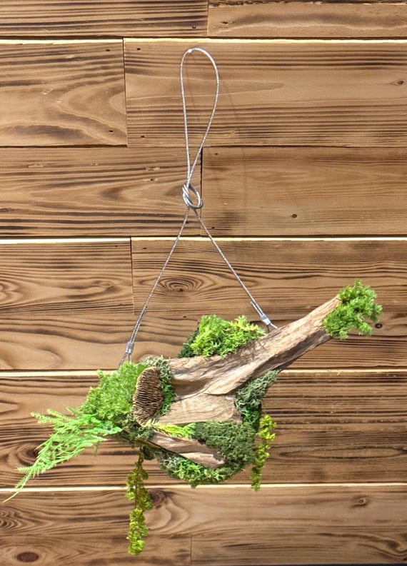 Création naturelle à suspendre- cadre vegetal – Bois, fougères et végétaux stabilisés- décoration d’intérieur- unique