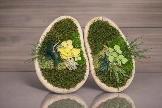 Galet végétal stabilisé – Décoration naturelle en mousse et hortensia stabilisé jaune et vert, forme organique inspirée d’une goutte d’eau