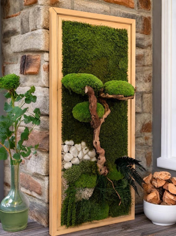 Grand cadre végétal stabilisé style bonsaï zen – Bois flotté et mousse naturelle – Art mural Japandi – Décoration murale nature luxe