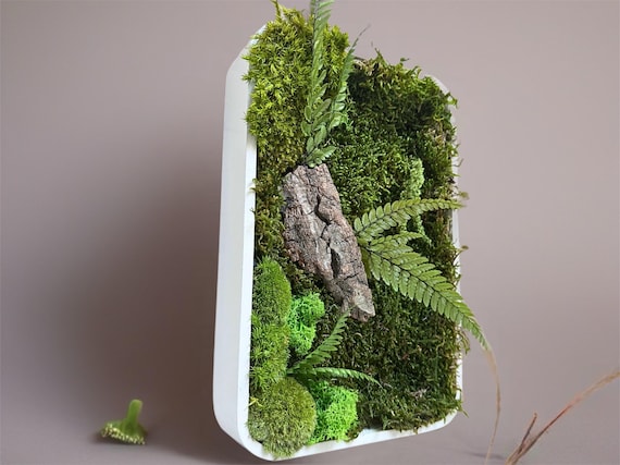 Cadre végétal stabilisé en mousse et fougères – Décoration murale naturelle horizontale ou verticale – idée cadeau Noël unique