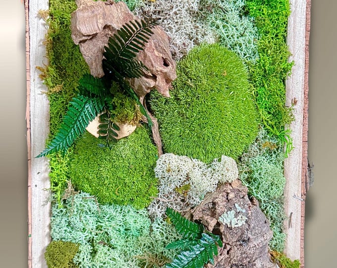 Featured listing image: Cadre végétal en mousse stabilisée – Déco d'intérieur naturelle murale bois, mousse et fougère – Forêt miniature apaisante- Pièce unique