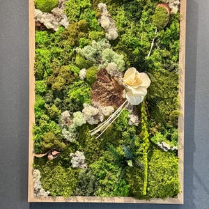 Groot plantenframe van 100% natuurlijk gestabiliseerd mos