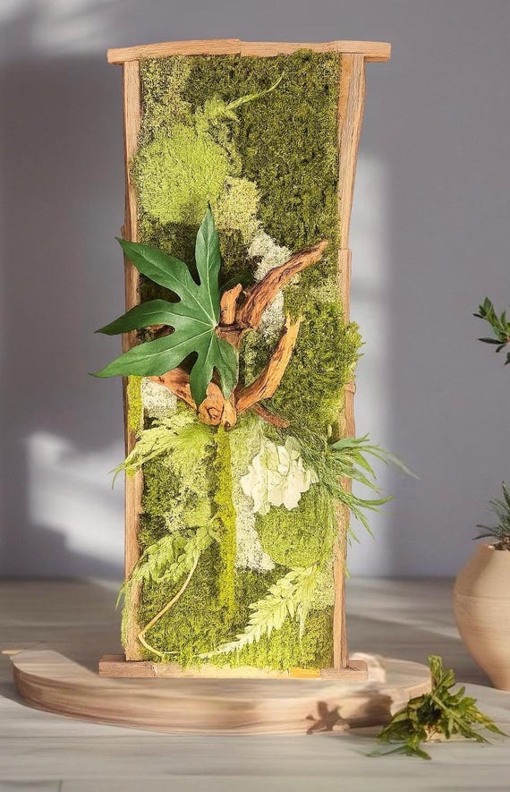 Cadre végétal stabilisé– Décoration murale naturelle haut de gamme – Bois brut et mousse – Style zen, bohème chic, sans entretien