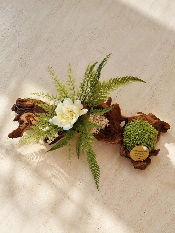 Centre de table végétal stabilisé bois flotté– Sculpture florale Japandi avec gardénia blanc, mousse stabilisée et fougère – Pièce unique