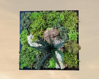 Petit Cadre végétal naturel en mousse stabilisée- unique-Déco d’intérieur
