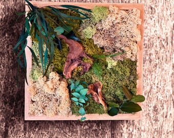 Cadre végétal stabilisé – Mousse naturelle, bois flotté et feuillage – Décoration murale artisanale en relief- Unique