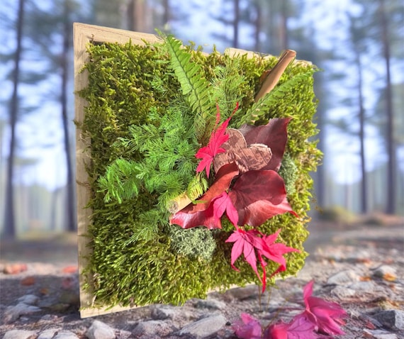 Cadre végétal en mousse stabilisée automnal – Feuilles rouges d’érable et fougères sur mousse naturelle – Décoration murale artisanale