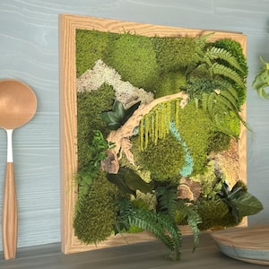 Peut inclure: Une œuvre d'art encadrée en mousse représentant un paysage miniature avec différentes nuances de mousse verte, des fougères et de petites plantes. L'œuvre comprend un cadre en bois clair et une branche en bois naturel, créant une esthétique naturelle et terreuse.