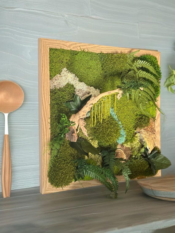 Cadre végétal stabilisé 50 cm – Tableau végétal naturel bois – Décoration murale zen forêt – Moss wall art – Pièce unique