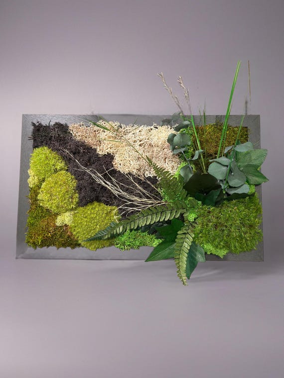 Cadre végétal mural en mousse et feuillage stabilisé – Décoration murale naturelle artisanale – Cadeau unique naturel