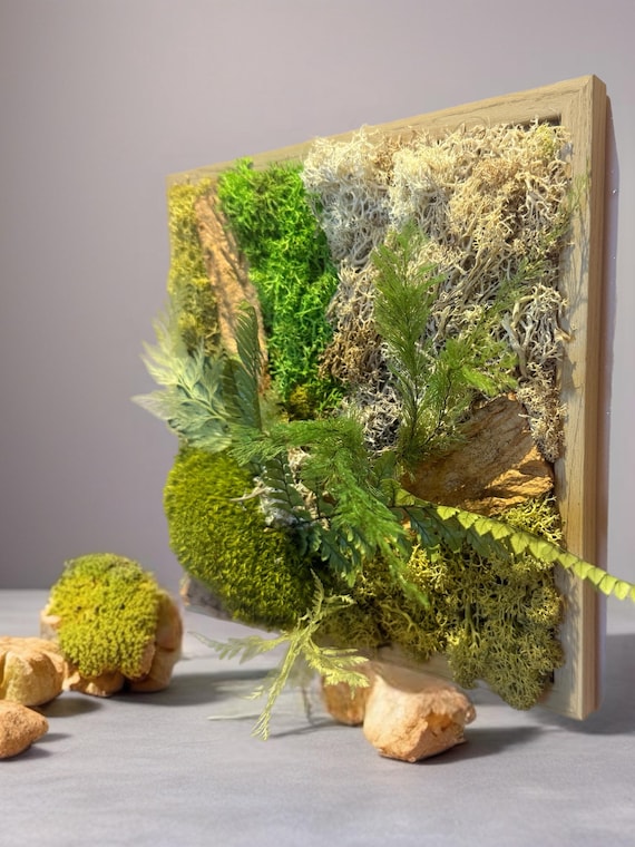Cadre végétal stabilisé– Déco murale naturelle – Mousse, fougère & écorce – Style zen et authentique