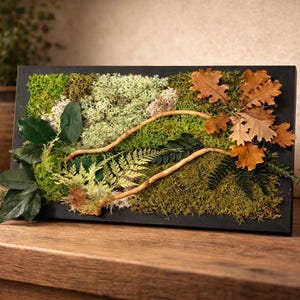 Marco para plantas estabilizado, imagen de plantas naturales, hojas de bosque y roble, decoración de pared con plantas que no requiere mantenimiento.