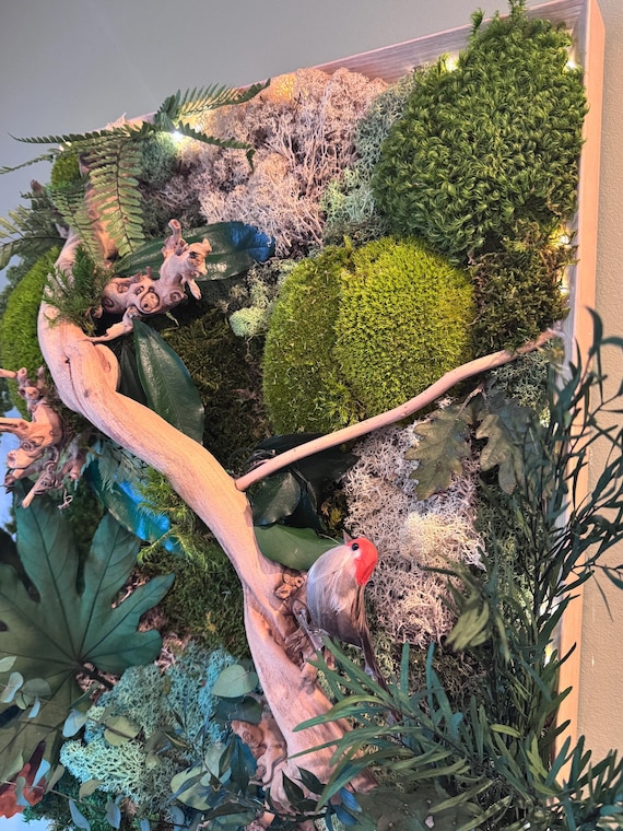Cadre végétal en mousse stabilisée avec éclairage LED – Tableau mural nature en bois, décoration murale verdure, cadeau original fait main