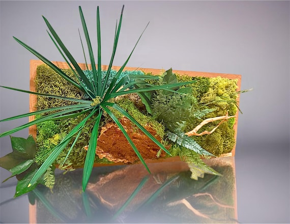 Cadre végétal mural en mousse et feuillage stabilisé – Décoration murale naturelle artisanale – Cadeau unique naturel