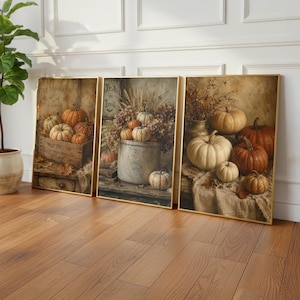 Peut inclure: Trois impressions d'art mural encadrées rectangulaires représentant des natures mortes automnales rustiques. Chaque impression présente diverses citrouilles, courges et arrangements floraux séchés dans des tons terreux, sur des textures de bois et de pierre patinées.