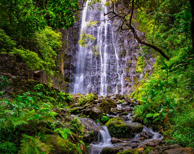 Hamama Falls Waterfall Oahu Hawaii Fabric Panel ~ Hawaiian Waterfalls in Ko'olau Mountains Fabric Quilt Square