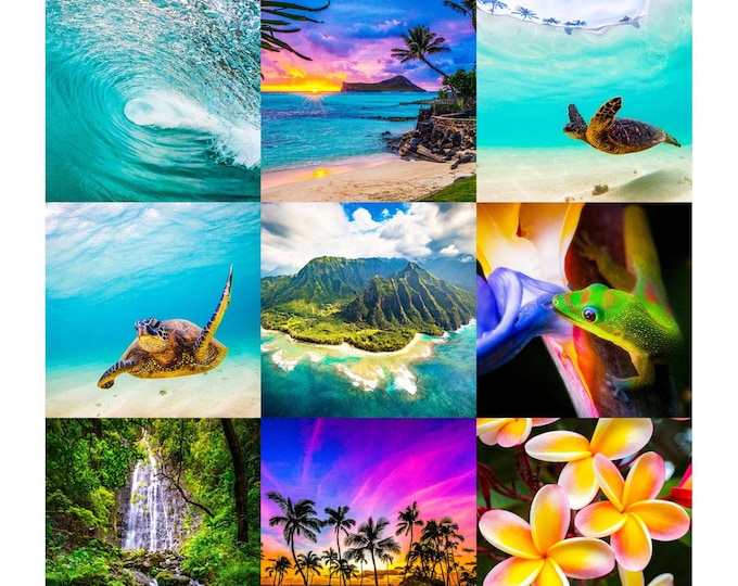 Hawaiian Beach Shane Myers Collection (15) Fabric Quilt Squares Wholecloth~ Kauai Oahu Tropical Panel