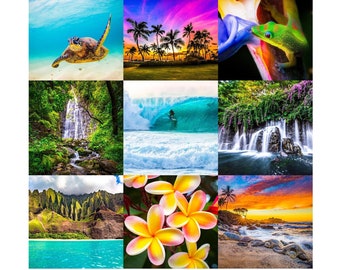 Hawaiian Beach Wholecloth Shane Myers Limited Edition Collection 10.5" Fabric Quilt Squares~ Tropical Fabric Panel Sea Turtle Plumeria