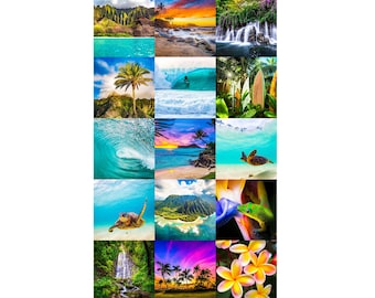 Hawaiian Beach Shane Myers Collection (15) Fabric Quilt Squares Wholecloth~ Hawaii Kauai Oahu Tropical Beach Fabric Panel