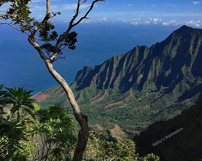 NA PALI Coast Fabric Quilt Panel Kauai Kalalau Valley Lookout Mountains Ocean Hike Trees