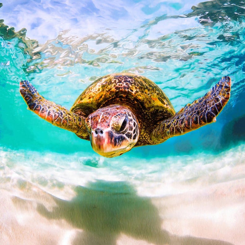 Underwater Sea Turtle Swimming Torpedo Fabric Quilt Block Green Turquoise Ocean Water Beach Panel 10.5" Square