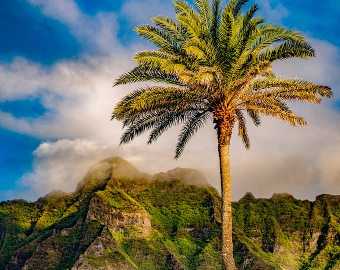 PALM Tree Hawaiian Mountains Fabric Panel ~ Palm Tree Ko'olau Mountains Chinaman's Hat Oahu Hawaii Tropical Fabric Quilt Square