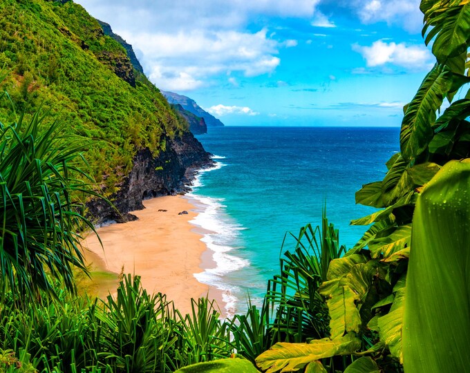 Na Pali Coast Hidden Valley North Shore Kauai Hawaii Fabric Panel Quilt Square Block Turquoise Blue Water Lush Palms Sandy Beach