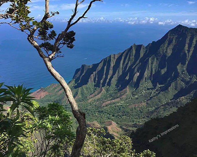 NA PALI Coast Fabric Quilt Panel Kauai Kalalau Valley Lookout Mountains Ocean Hike Trees
