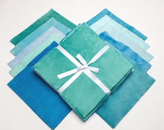 Shannon Fabrics Shades of Paradise Cuddle Cake~ (20) 10" Minky Fabric Quilt Squares