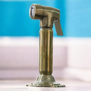 May include: A brass bidet sprayer with a trigger and a perforated nozzle. The sprayer is mounted on a decorative base. The background is a blurred blue and white.