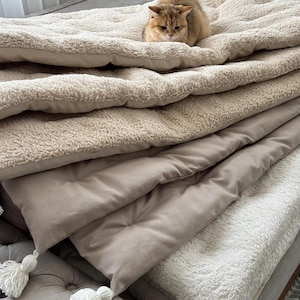 Peut inclure: Une couverture moelleuse beige et blanche avec un chat allongé dessus. La couverture est pliée en plusieurs couches et a une texture douce et pelucheuse.