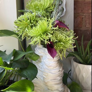 May include: A white ceramic vase with a textured, rippled surface holds a floral arrangement of bright green spider chrysanthemums, slender white-tipped green stalks, and deep purple calla lilies, creating a vibrant and layered botanical display.
