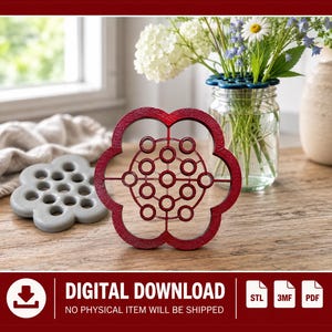 May include: A red flower-shaped flower frog with a circular grid of holes for arranging stems, accompanied by a smaller gray version. The red piece features a textured surface and a geometric pattern of interconnected circles within its frame.