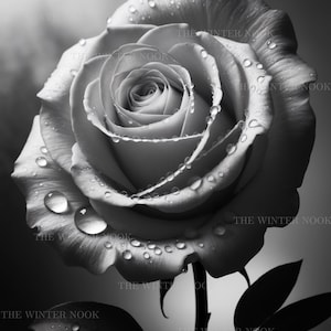 Single Rose Wall Art, Digital Download, Minimalist Floral Print, Botanical Art, Instant Download