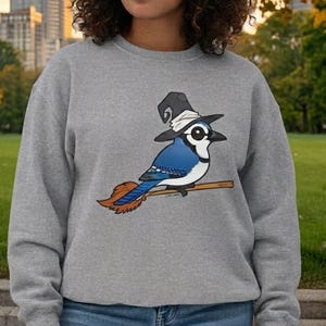 May include: A gray sweatshirt featuring a cartoon blue jay wearing a witch hat and perched on a broom. The bird has white, black, and blue coloring. The background shows a person, a park, and a city skyline.