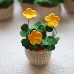 May include: A small potted plant with yellow crocheted flowers and green crocheted leaves. The plant is in a white crocheted pot.